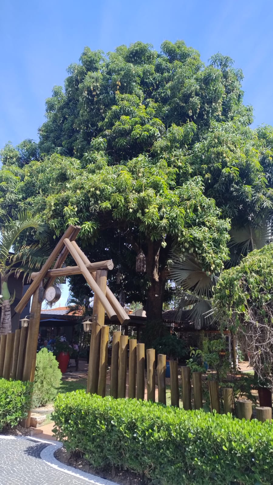 Foto Janta dos Cornetas